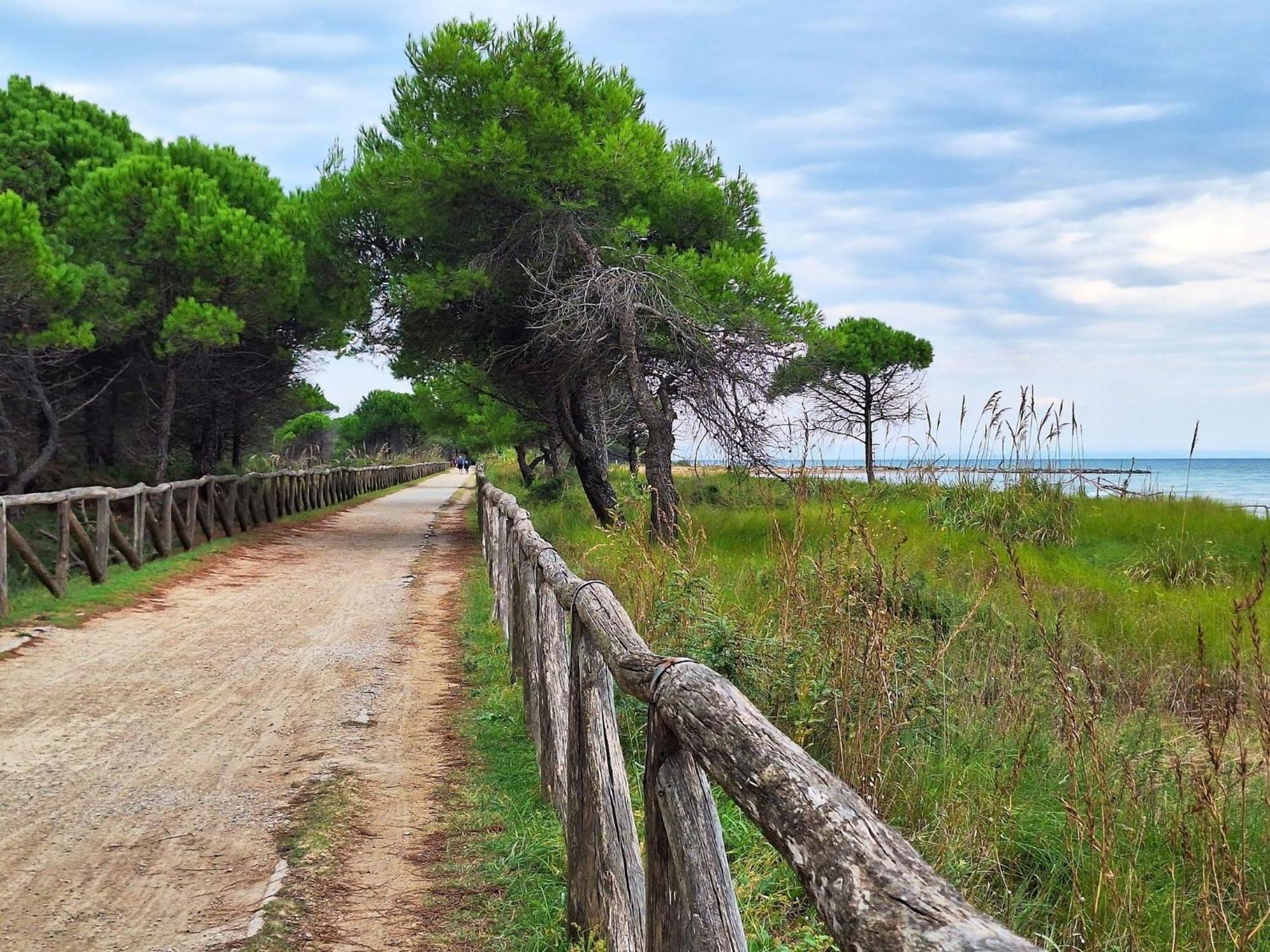 Flat With Terrace In A Great Spot - Beahost Appartamento *